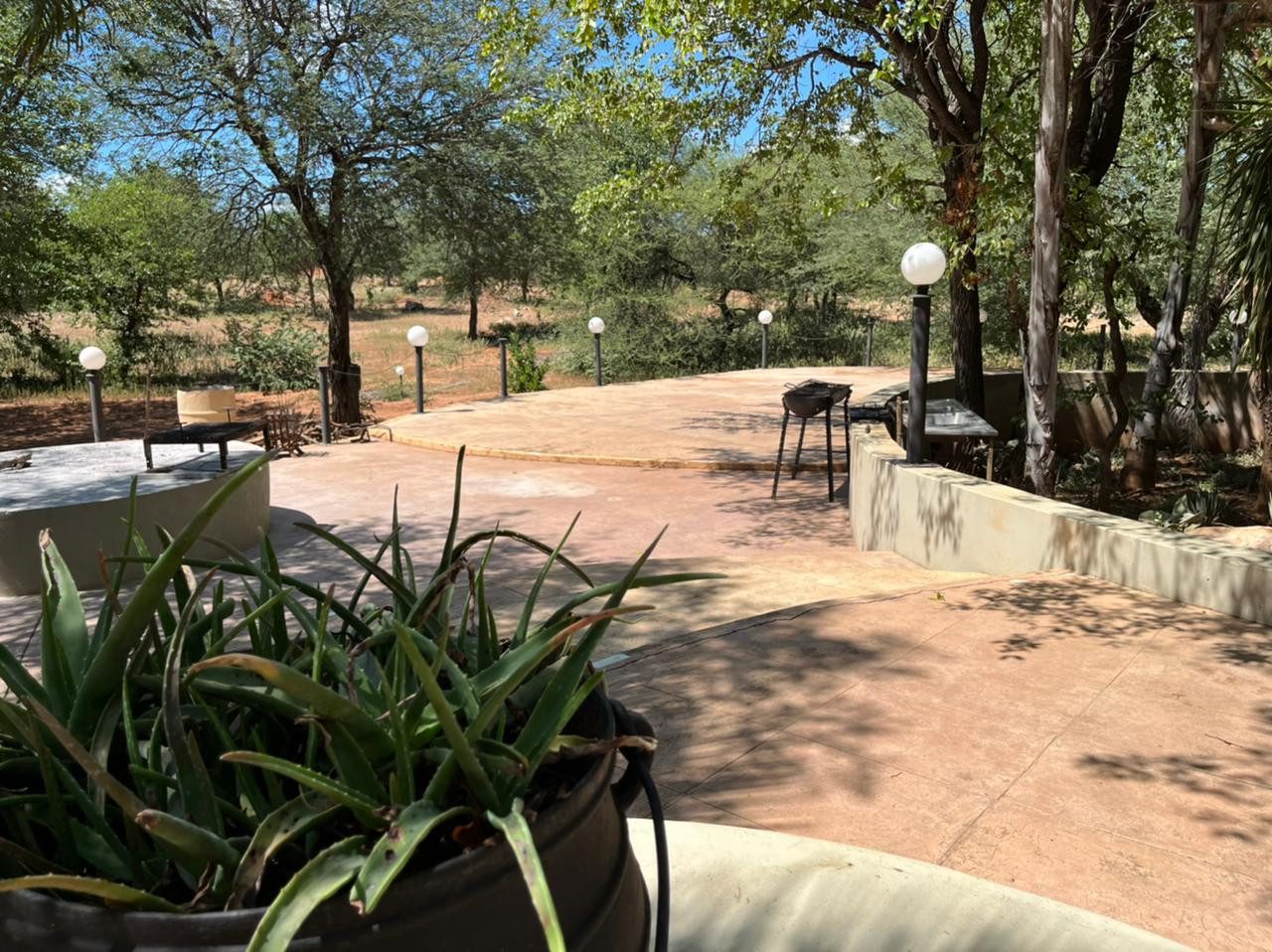 Farm Benny - Limpopo Bushveld - Photo 5