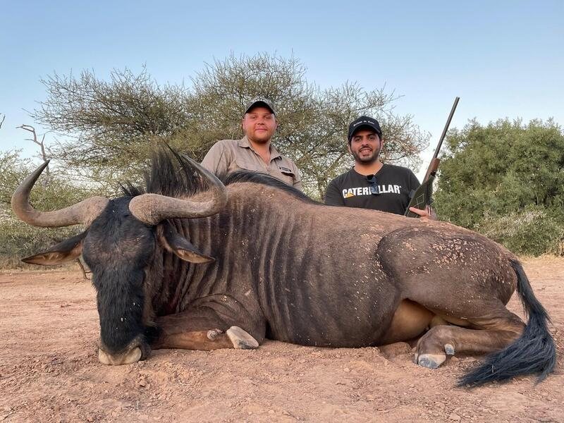 Blue Wildebeest Hunt