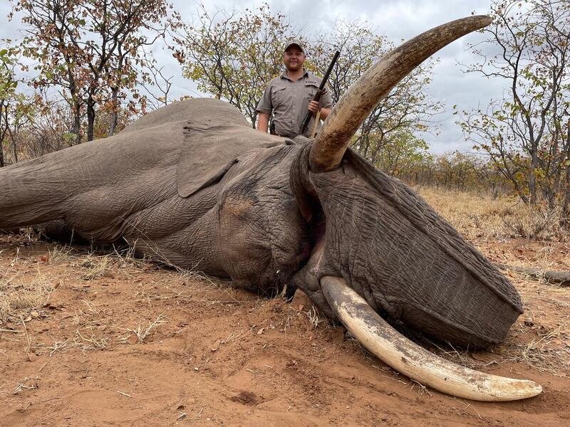 Elephant Safari Hunt