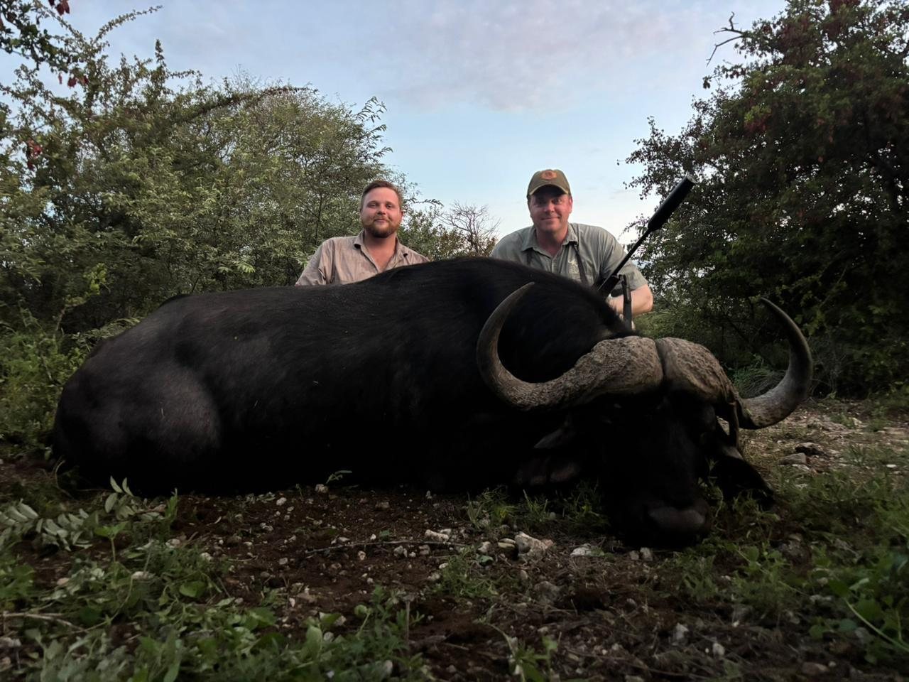 Buffalo Safari Hunt