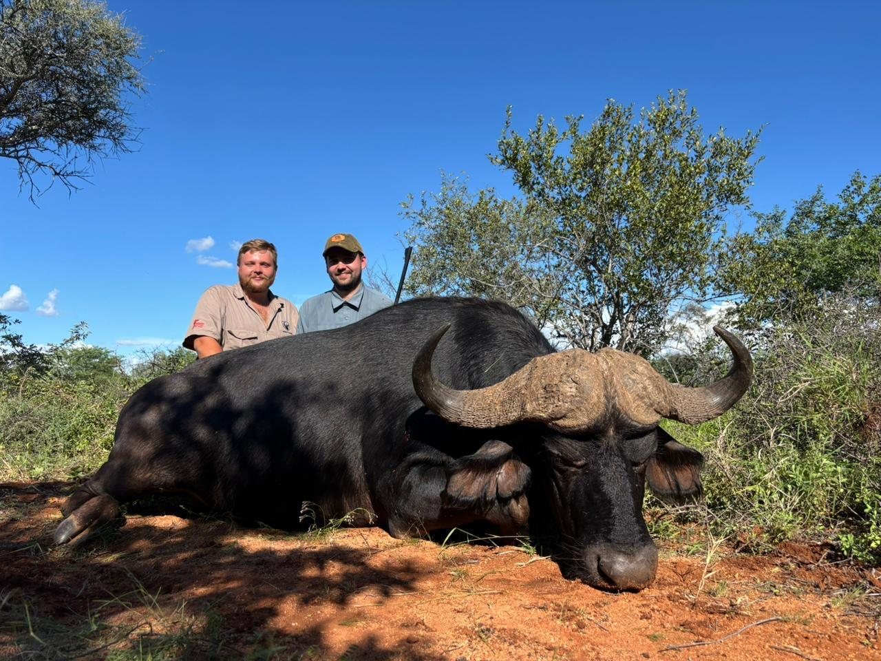 Buffalo Safari Hunt